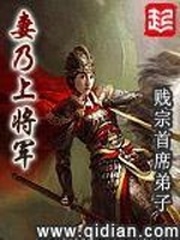  妻乃上将军